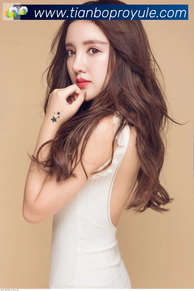 企业概况